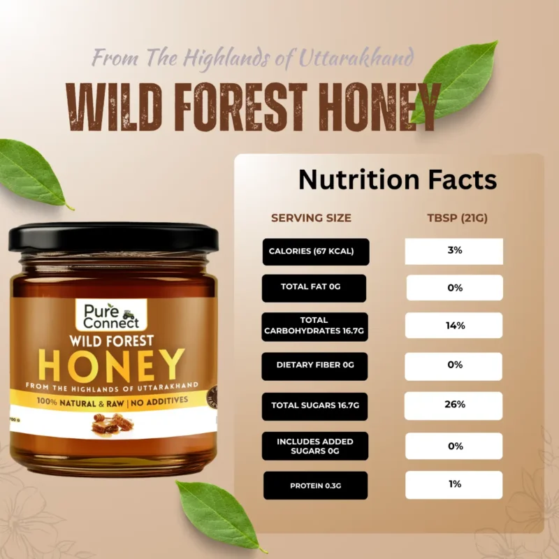 Wild Forest Honey - Image 5