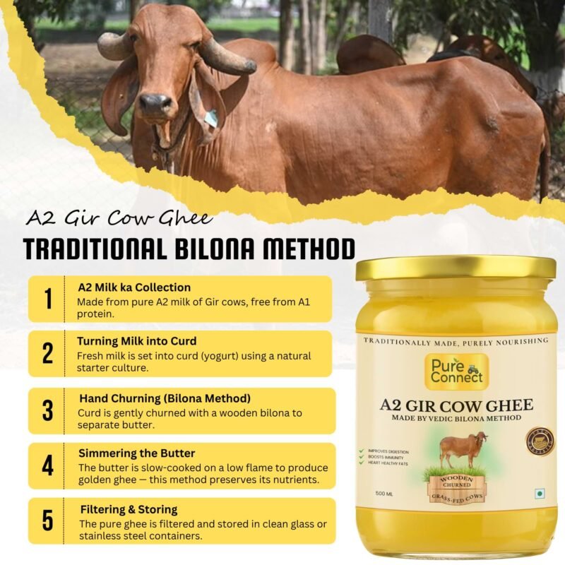 A2 Gir Cow Milk Process - Pure Connect