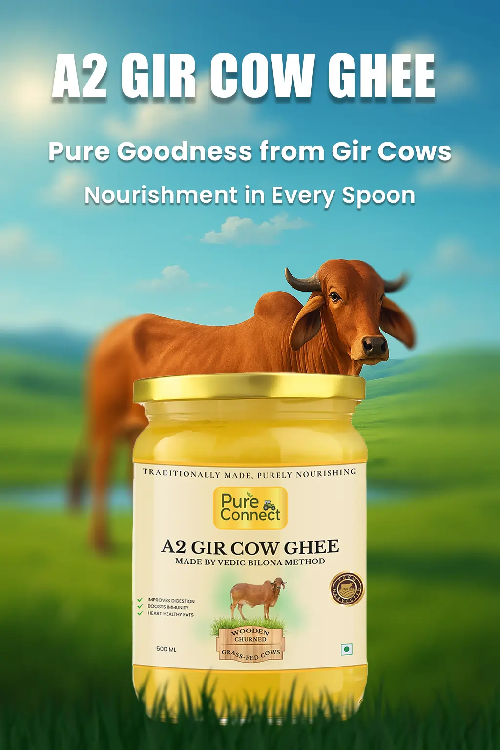 A2-GIR-COW- GHEE Pure Connect